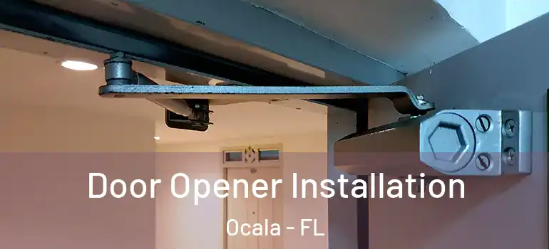 Door Opener Installation Ocala - FL
