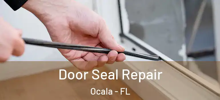 Door Seal Repair Ocala - FL