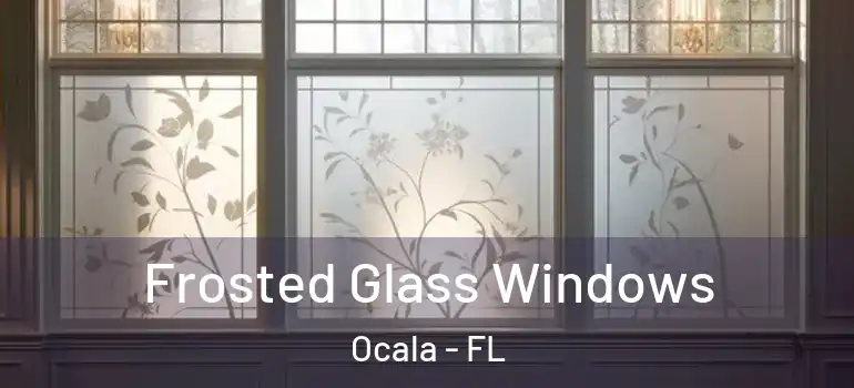 Frosted Glass Windows Ocala - FL