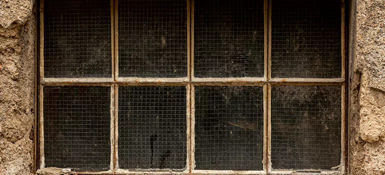 Traditional Double Front Doors in Ocala, FL