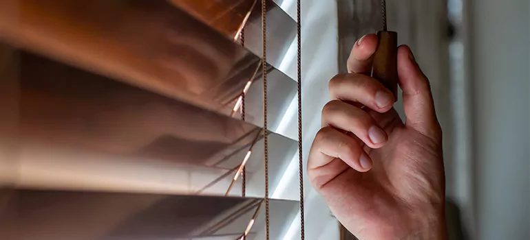 Double Roller Blinds in Ocala, FL