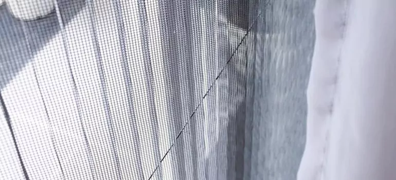 Fixing Screen Window Mesh in Ocala, FL