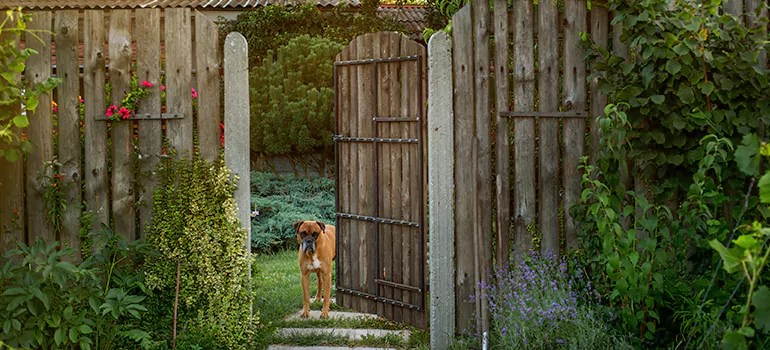 Winter Garden Garage Door Repair in Ocala,[location field=state]