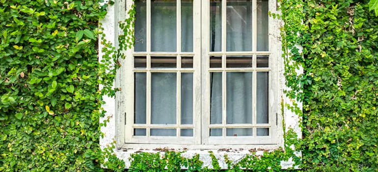 Garden Window Repair Near Me in Ocala, FL
