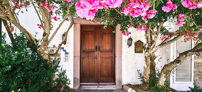 Traditional 4 Panel Internal Doors in Ocala, FL