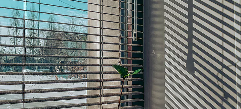 Commercial Window Blinds in Ocala, FL