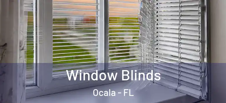 Window Blinds Ocala - FL