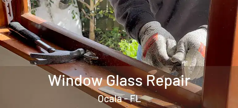Window Glass Repair Ocala - FL