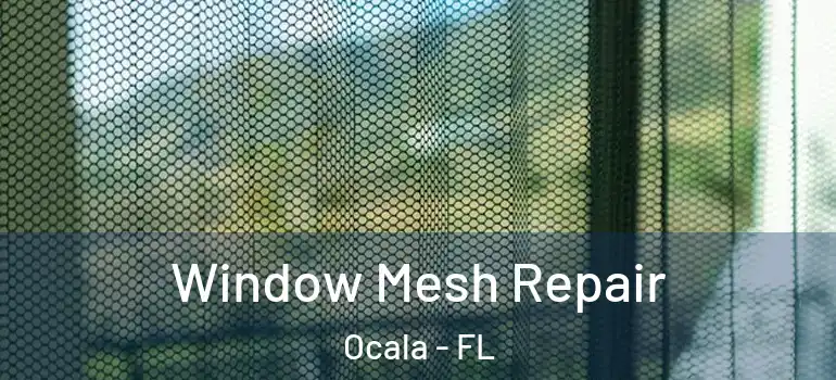 Window Mesh Repair Ocala - FL