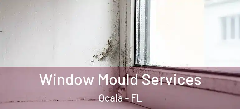 Window Mould Services Ocala - FL