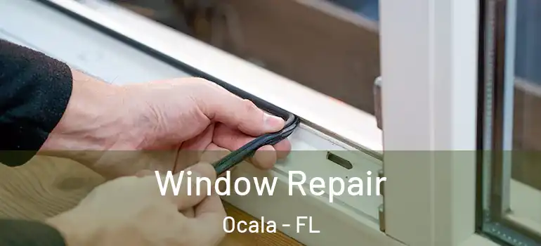 Window Repair Ocala - FL