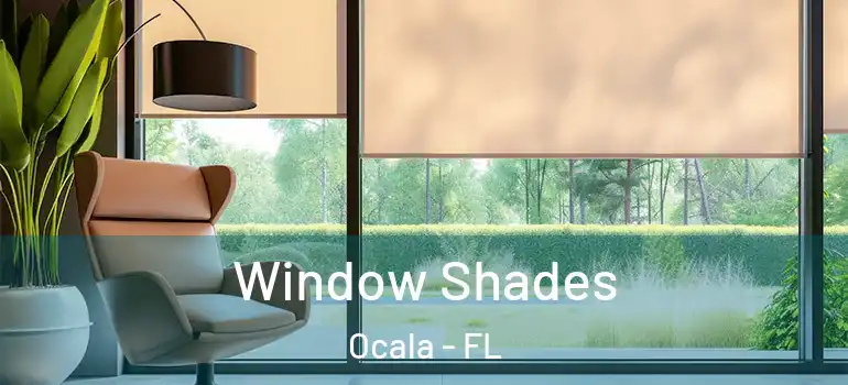 Window Shades Ocala - FL