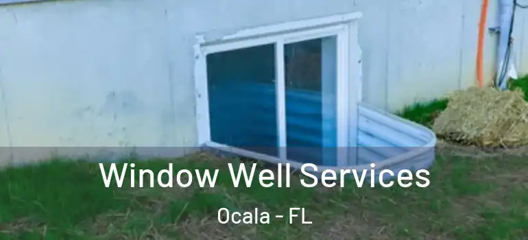Window Well Services Ocala - FL